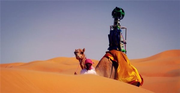 除了骆驼和袋鼠，谷歌这次又雇佣了一群羊拍街景地图