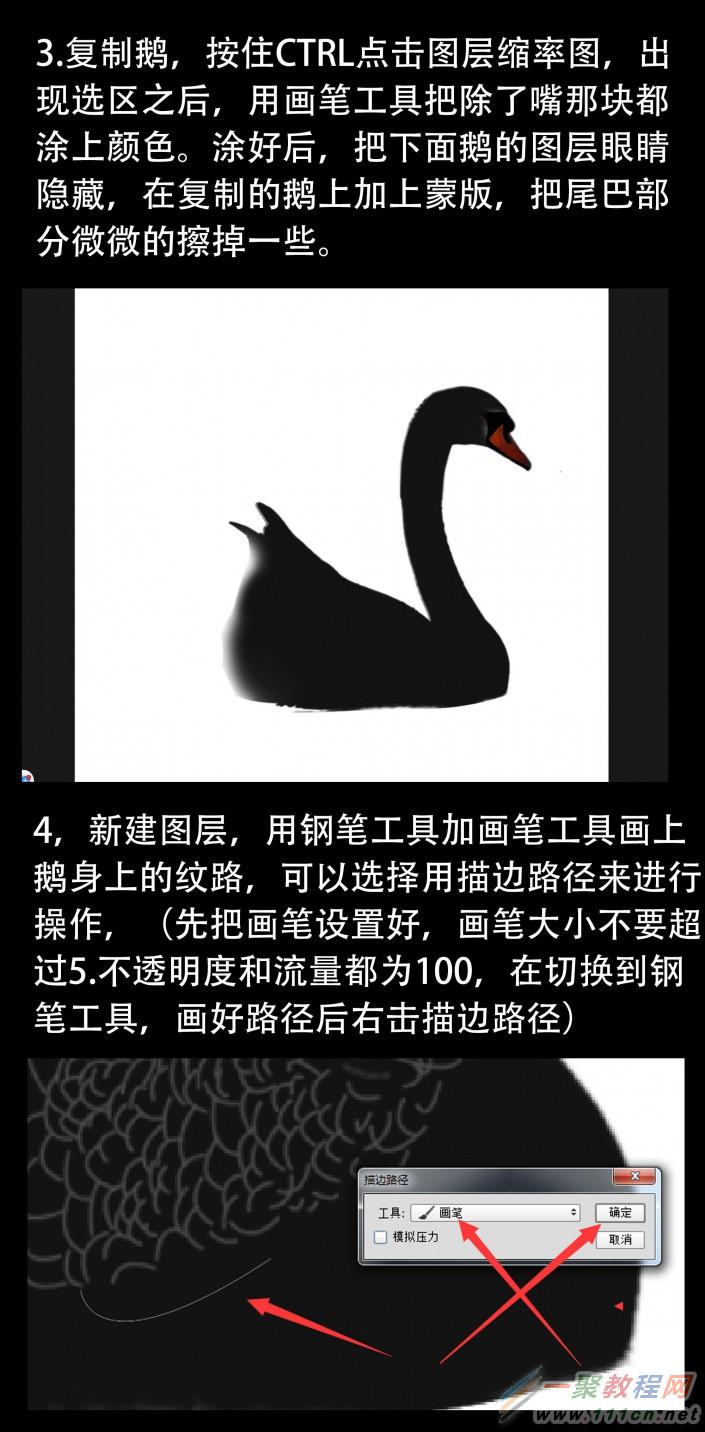 动物海报，设计黑天鹅主题海报_www.16xx8.com