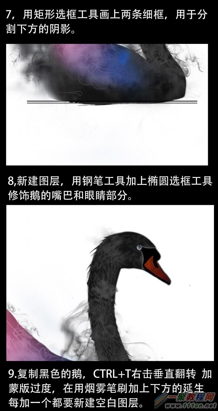 动物海报，设计黑天鹅主题海报_www.16xx8.com